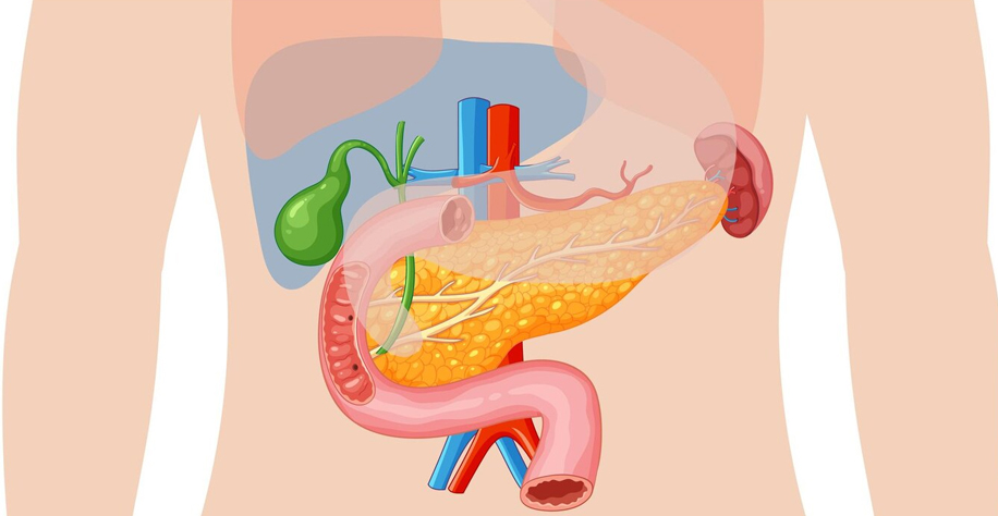 Gastroenterology Image